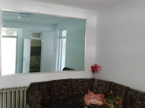 呼和浩特鼓樓精品學區房出租 優質教育資源與便捷生活的完美結合