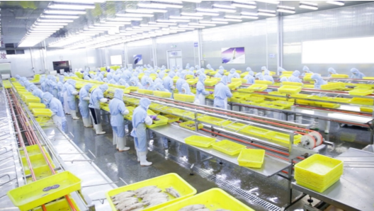 新質(zhì)供給撬動內(nèi)需藍海 85后海歸借力拼多多，魷魚仔年銷千萬的轉(zhuǎn)型啟示